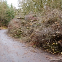 Angersbach DSC06779.jpg